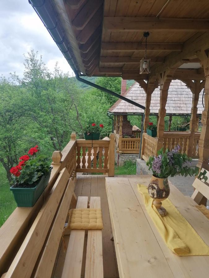 Pensiunea Căsuța din Deal Moisei Exterior foto